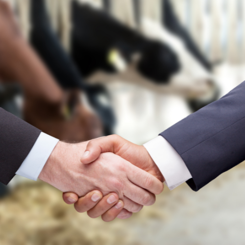 QUẢN LÝ CHĂN NUÔI