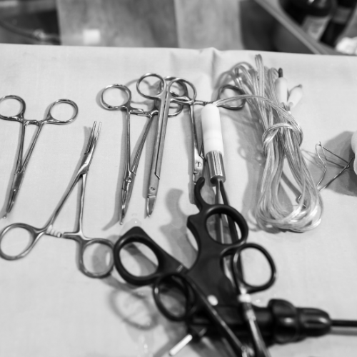 bộ dao kéo cắt tỉa