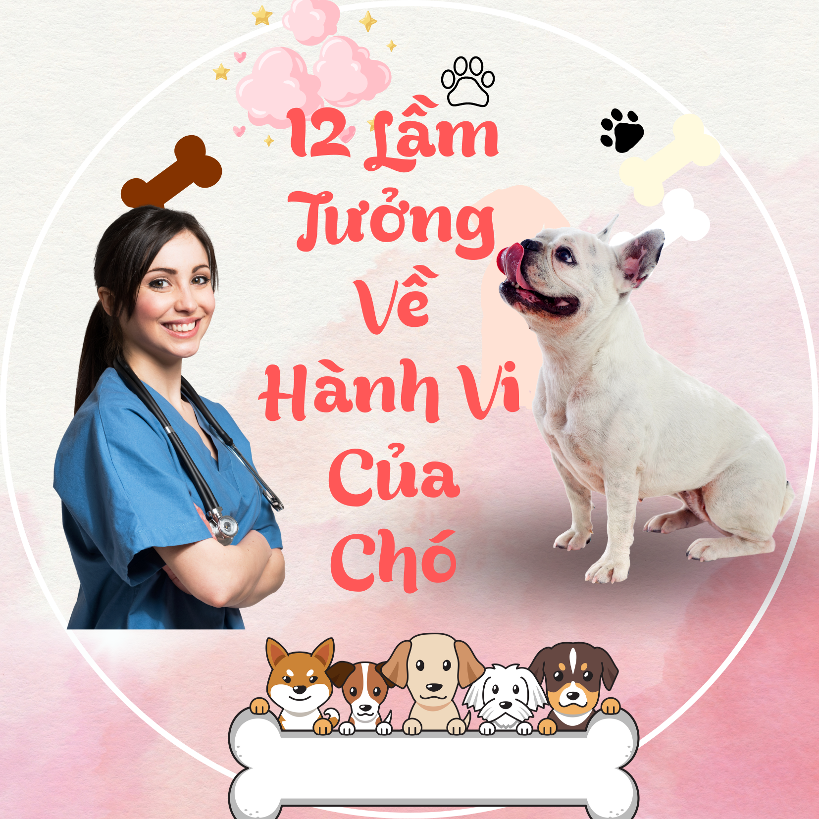 12 LẦM TƯỞNG VỀ HÀNH VI CỦA CHÓ