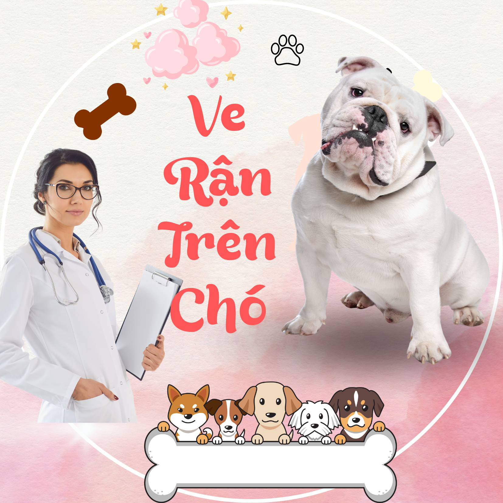 VE RẬN TRÊN CHÓ – TẤT CẢ NHỮNG GÌ BẠN CẦN BIẾT