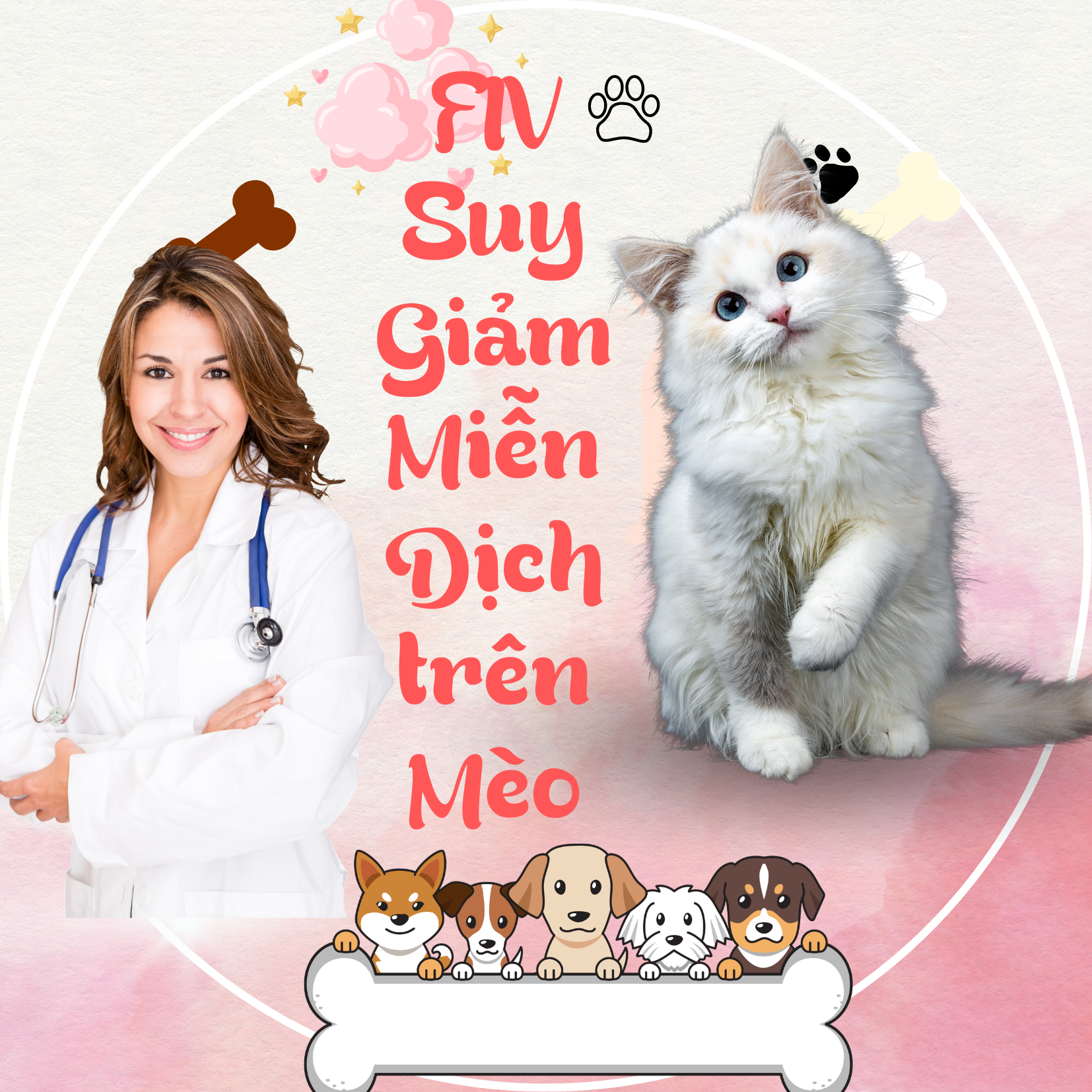 HỘI CHỨNG SUY GIẢM MIỄN DỊCH Ở MÈO ( FIV )