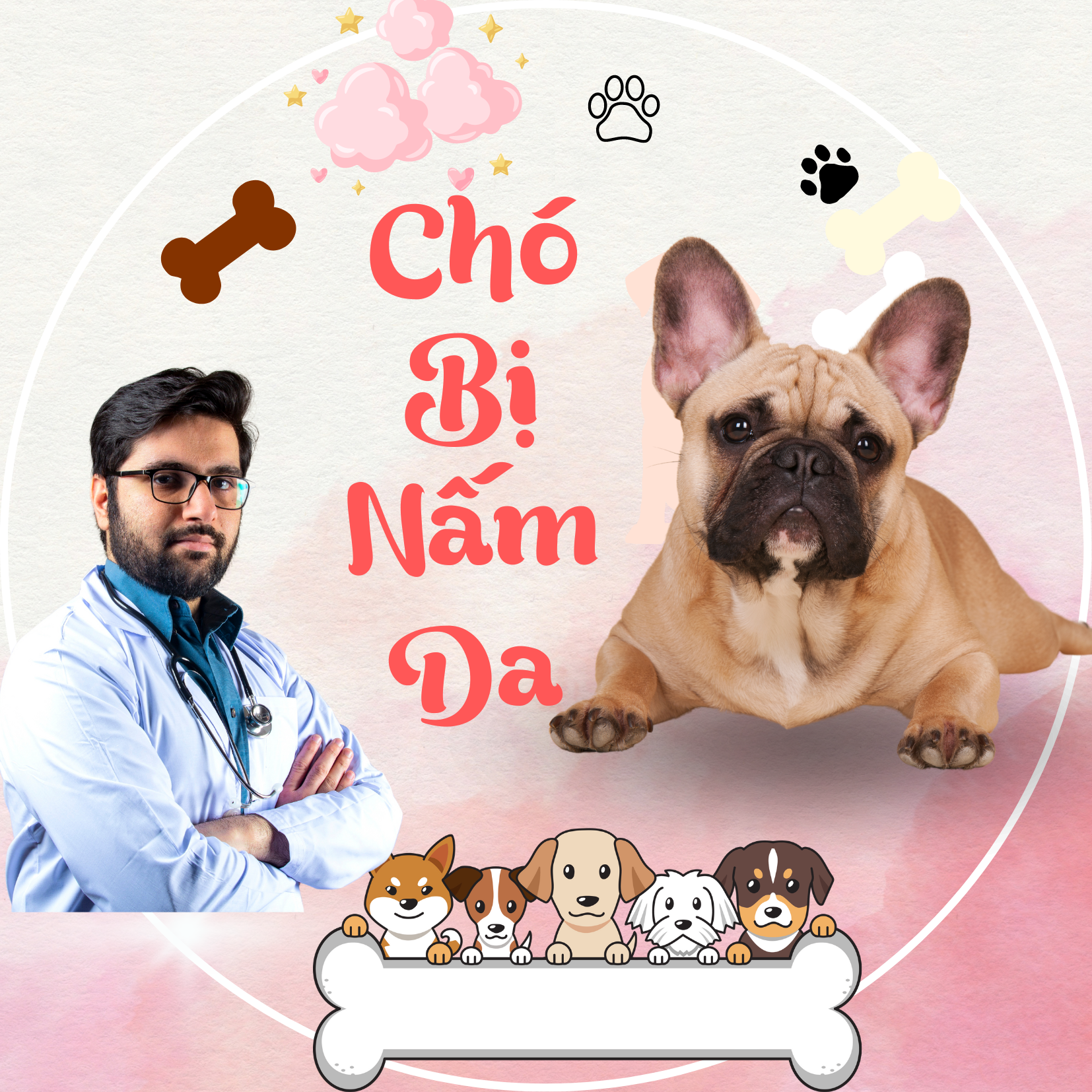 CHÓ BỊ VIÊM DA DO NẤM MEN MALASSEZIA