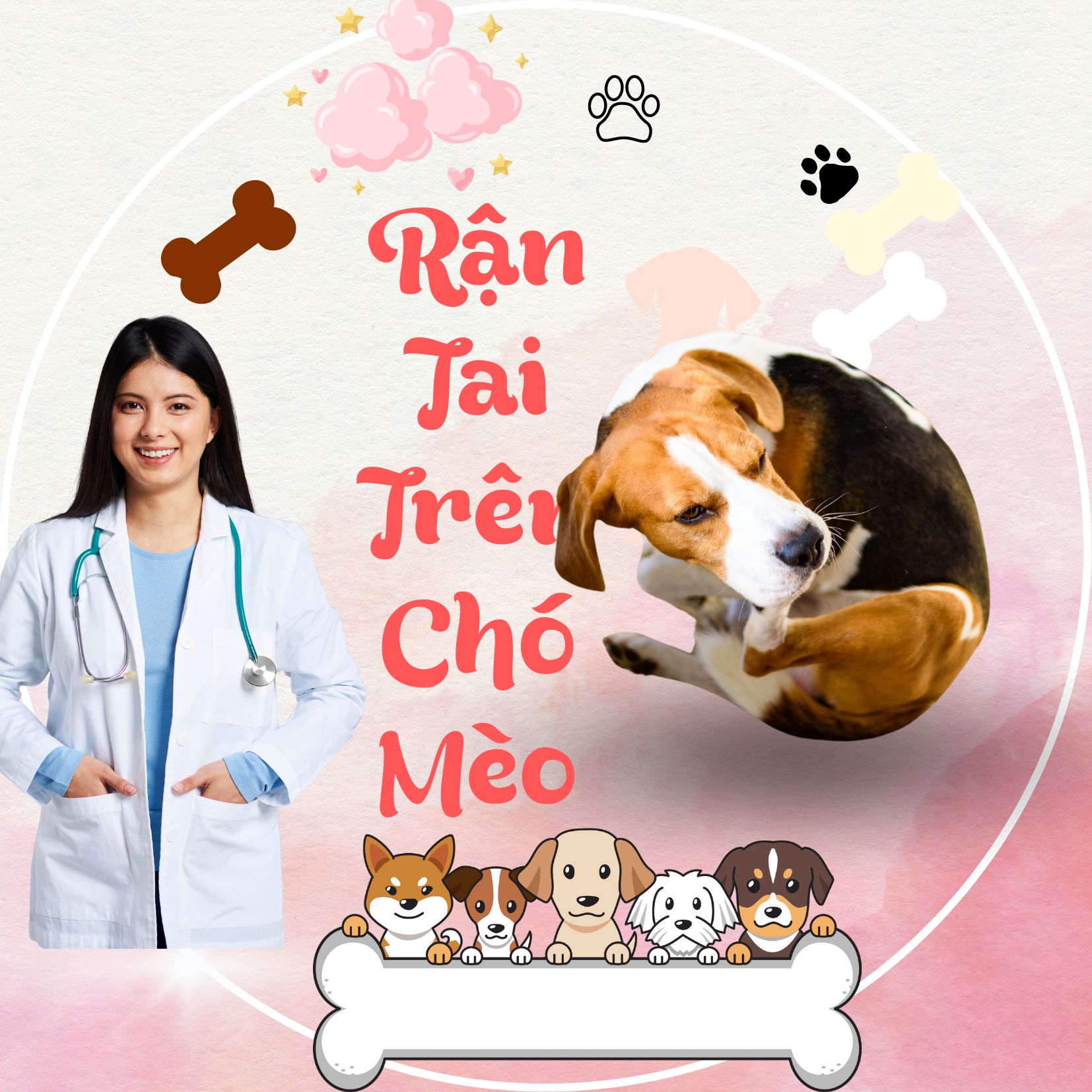 RẬN TAI TRÊN CHÓ MÈO