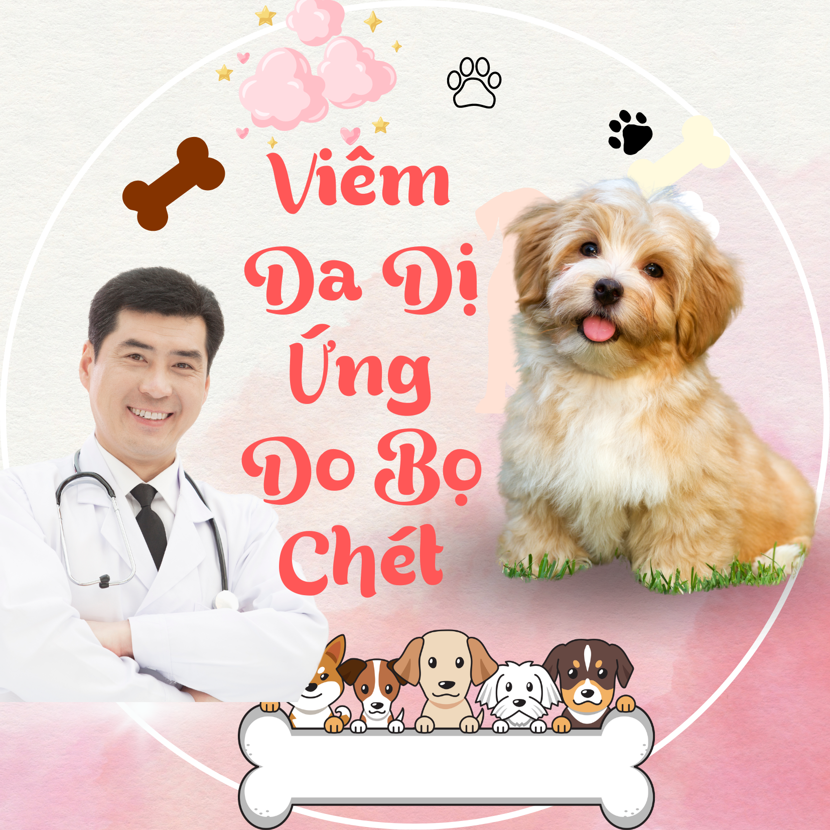 VIÊM DA DỊ ỨNG  DO BỌ CHÉT Ở CHÓ (FAD)