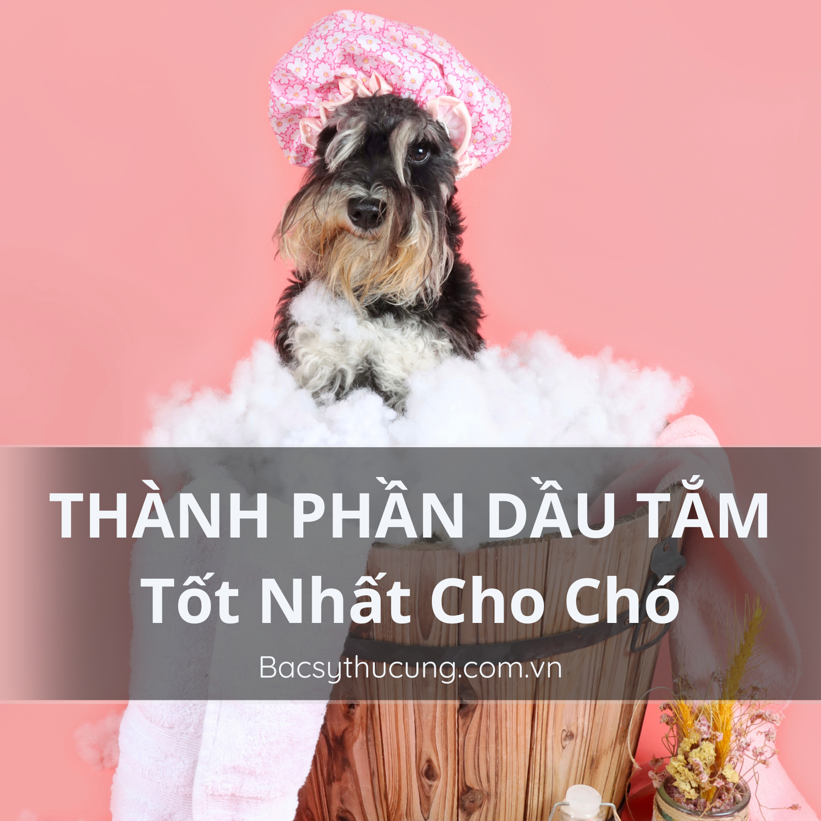 THÀNH PHẦN DẦU TẮM CHO CHÓ TỐT NHẤT LÀ GÌ?
